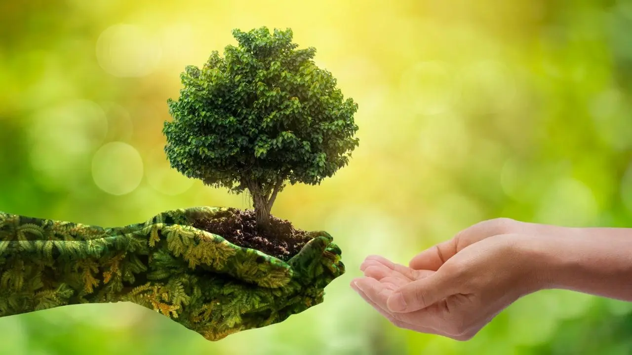 World Environment Day : विश्व पर्यावरण दिवस (5 जून) पर कुकरैल में होगा वृहद पौधरोपण, मुख्यमंत्री योगी आदित्यनाथ करेंगे शुभारंभ World Environment Day : विश्व पर्यावरण दिवस (5 जून) पर कुकरैल में होगा वृहद पौधरोपण, मुख्यमंत्री योगी आदित्यनाथ करेंगे शुभारंभ