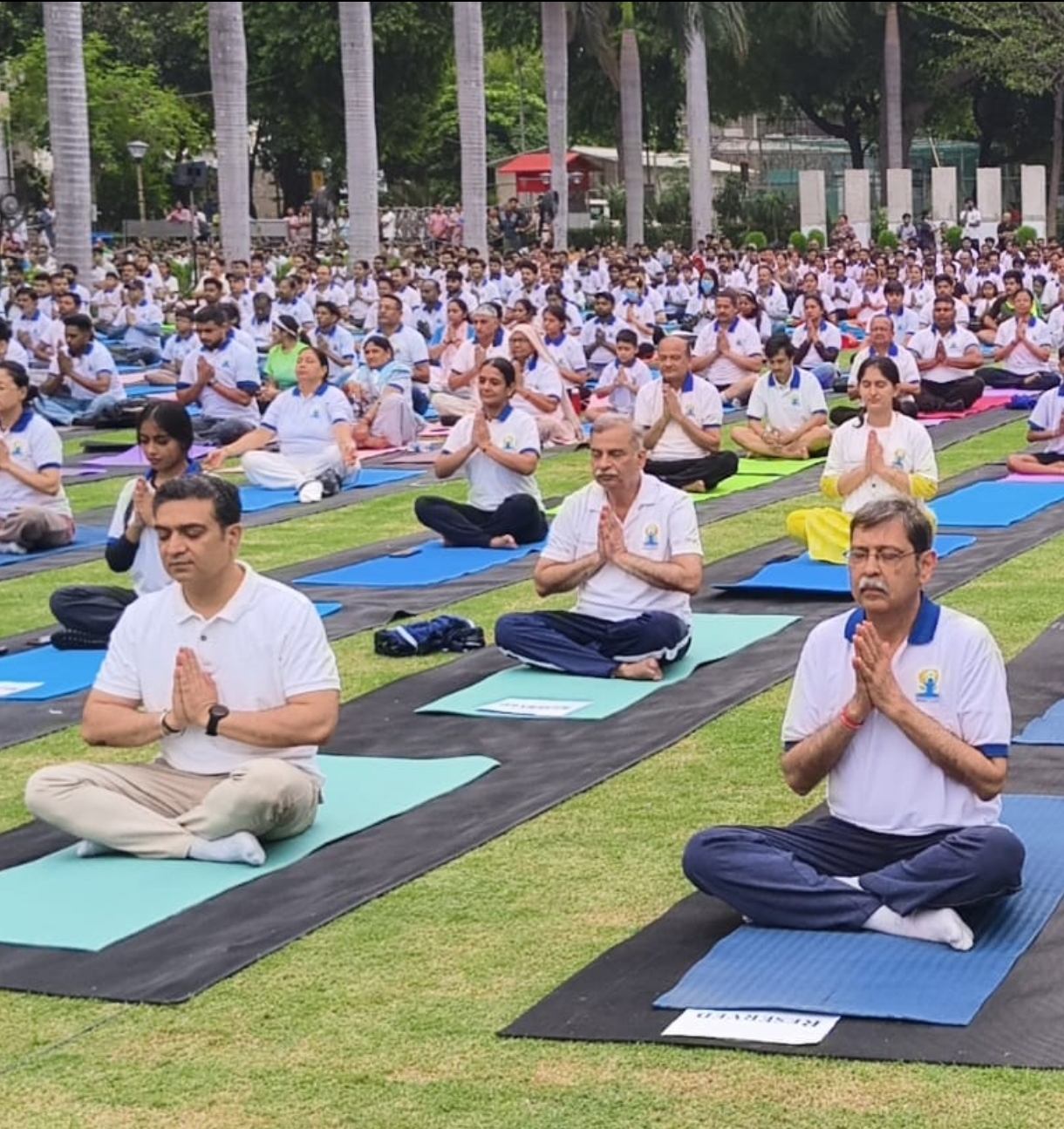 International Yoga Day: योग को जीवनशैली बनाएं, तभी मिलेगा स्वस्थ और सक्रिय बुढ़ापा: एम्स International Yoga Day: योग को जीवनशैली बनाएं, तभी मिलेगा स्वस्थ और सक्रिय बुढ़ापा: एम्स