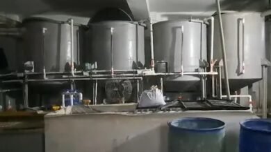 सूरत में दर्दनाक हादसा