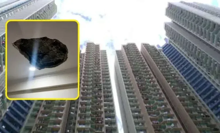 Noida: सपनों के आशियाने में डर का साया: प्लास्टर गिरने से सहमे निवासी, अब हेलमेट पहनकर निकल रहे बच्चे और बुजुर्ग