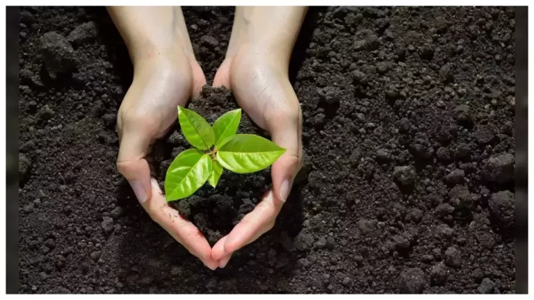 World Environment Day 2026: विश्व पर्यावरण दिवस पर नोएडा में चलेगा महाअभियान, शहरभर में होगा पौधारोपण