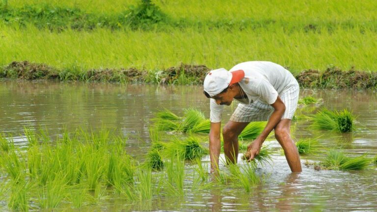 Uttar Pradesh : किसानों की डिजिटल पहचान की ओर तेजी से बढ़ रहा प्रदेश