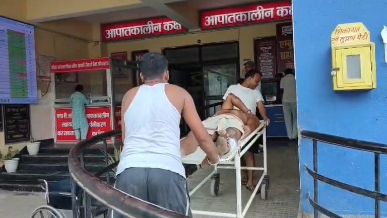 Bihar : मितमा गांव में पशु बलि को लेकर दो पक्षों में हिंसक झड़प, रोड़ेबाजी और फायरिंग में 8 से 10 लोग घायल