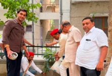 PDA Tree Plantation, Samajwadi Party, Noida News,