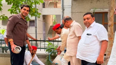 PDA Tree Plantation, Samajwadi Party, Noida News,