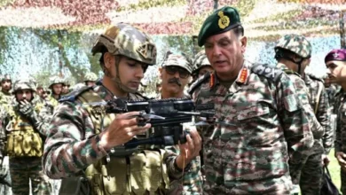 Indian Army, LOC, Amarnath Yatra, Northern Command, General Dhiraj Seth