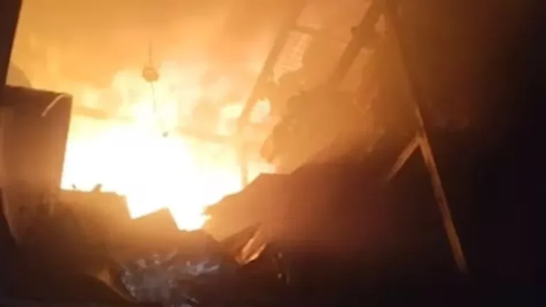 Noida Fire: सेक्टर-88 की सुरभी इंटरनेशनल कंपनी में भीषण आग, 8 दमकल गाड़ियों ने ढाई घंटे में पाया काबू