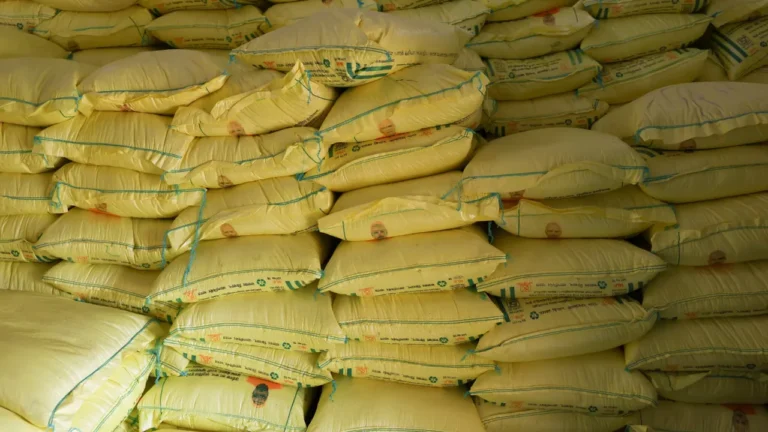  National Urea Investment Policy 2026: यूरिया में आत्मनिर्भर भारत की ओर बड़ा कदम, राष्ट्रीय यूरिया निवेश नीति-2026 को केंद्रीय कैबिनेट की मंजूरी
