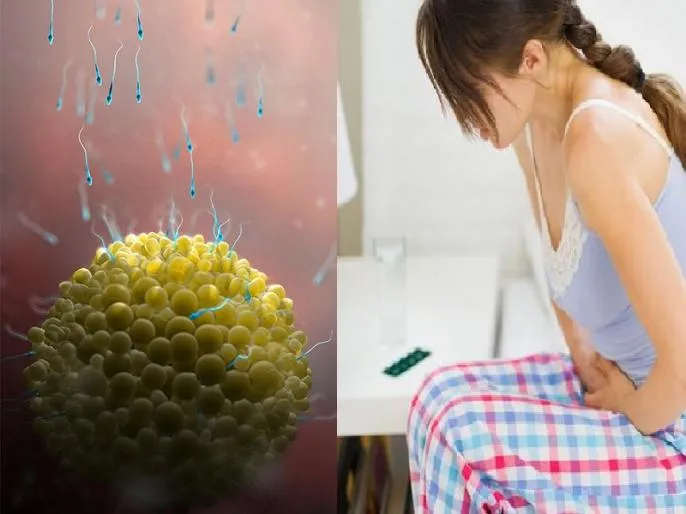 Health: खतरे की घंटी, किशोरियां भी समय से पहले मेनोपॉज की चपेट में, 13 साल की बच्चियों में भी सामने आए मामले Health: खतरे की घंटी, किशोरियां भी समय से पहले मेनोपॉज की चपेट में, 13 साल की बच्चियों में भी सामने आए मामले