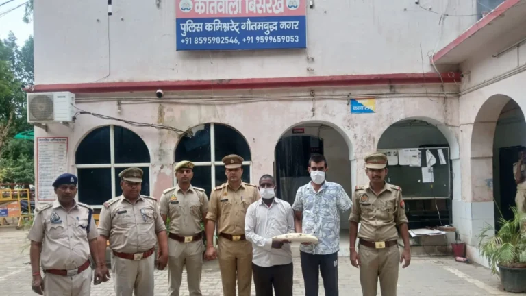 Ivory Smuggling: हाथी दांत तस्करी का भंडाफोड़, बिसरख पुलिस और वन विभाग ने दो तस्करों को किया गिरफ्तार