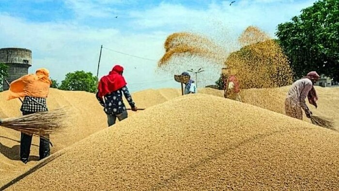 Uttar Pradesh : एमएसपी पर रिकॉर्ड खरीद से यूपी के किसानों को मिल रहा बड़ा लाभ, अनाज की खरीद में बना कीर्तिमान