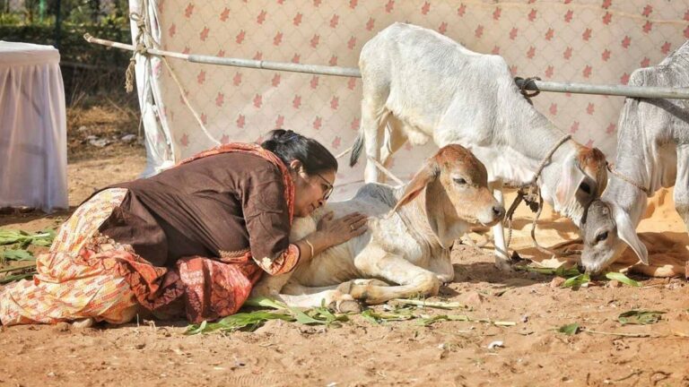 Uttar Pradesh : गो संरक्षण से गांवों में खुलेगा कमाई का नया रास्ता, 10 रुपये लीटर खरीदा जाएगा गोमूत्र