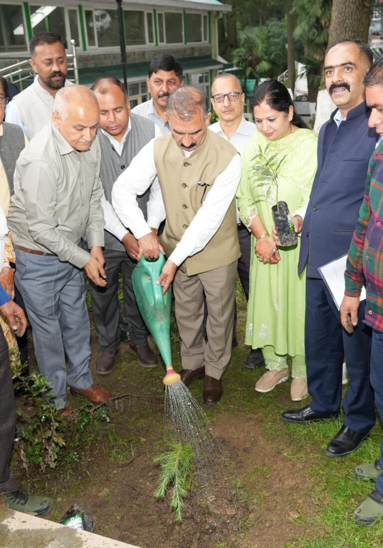 Green Shimla: मुख्यमंत्री सुखविंद्र सिंह सुक्खू ने किया पौधरोपण अभियान का शुभारंभ, प्रदेशवासियों से अधिक से अधिक पेड़ लगाने की अपील