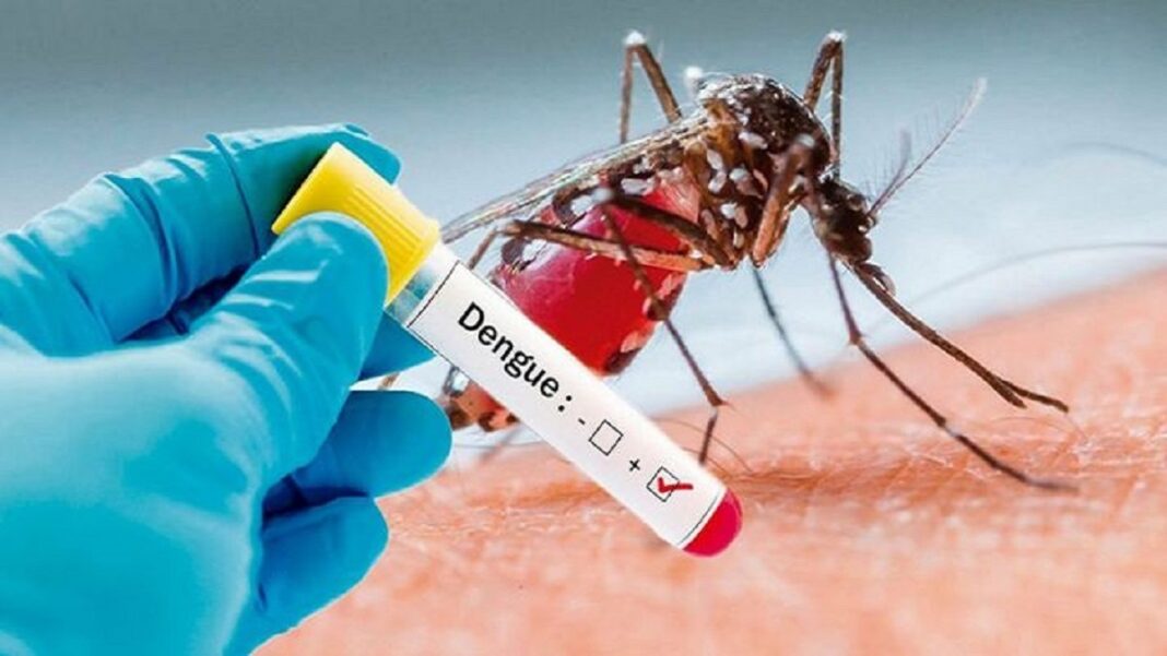 Dengue Cases: बारिश के साथ बढ़ा मच्छरों का खतरा, दिल्ली में डेंगू के मामले 450 पार Dengue Cases: बारिश के साथ बढ़ा मच्छरों का खतरा, दिल्ली में डेंगू के मामले 450 पार