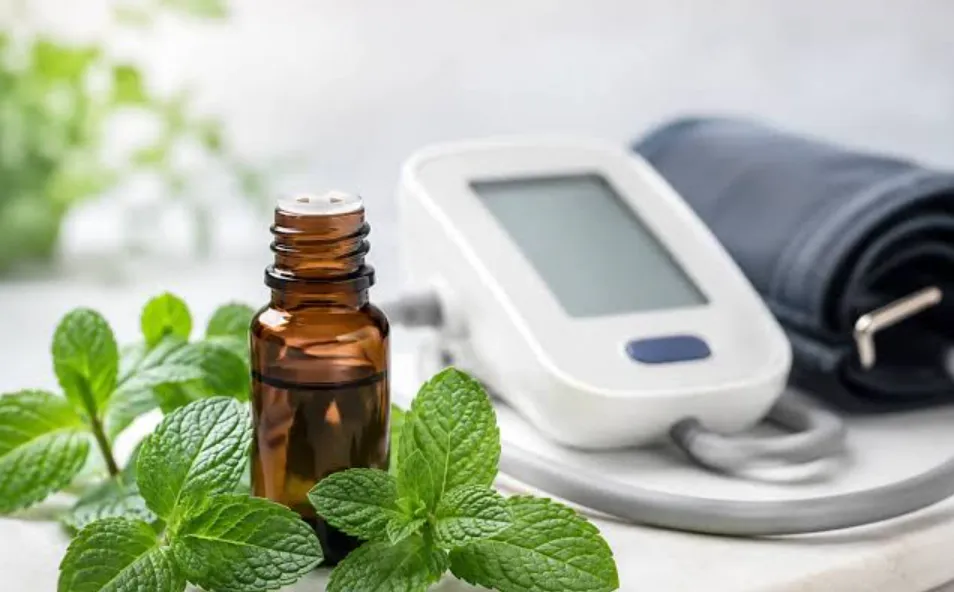 Peppermint Oil Study: पुदीने के तेल से 20 दिन में बीपी पर ब्रेक! छोटे क्लीनिकल ट्रायल में ऊपर वाला BP 8.5 और नीचे वाला 4.6 mmHg तक घटा Peppermint Oil Study: पुदीने के तेल से 20 दिन में बीपी पर ब्रेक! छोटे क्लीनिकल ट्रायल में ऊपर वाला BP 8.5 और नीचे वाला 4.6 mmHg तक घटा