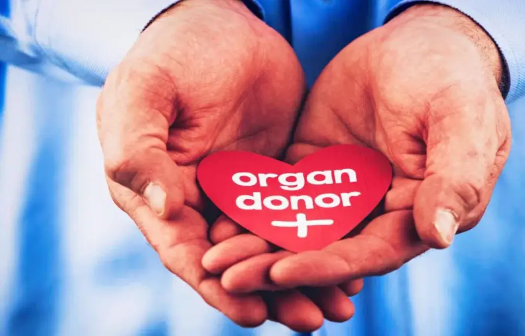 Organ Donation: एक डोनर बचा सकता है 8 जिंदगियां, फिर भी अंगदान में भारत पीछे Organ Donation: एक डोनर बचा सकता है 8 जिंदगियां, फिर भी अंगदान में भारत पीछे