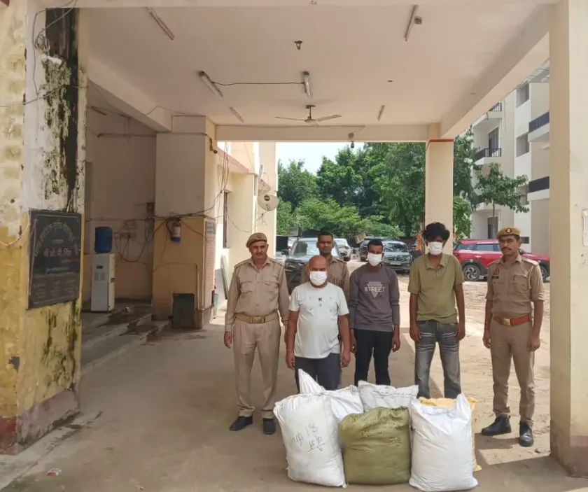 Factory Theft: गारमेंट्स फैक्टरी से टी-शर्ट चोरी, दो सुरक्षा गार्ड समेत तीन गिरफ्तार; 363 टी-शर्ट बरामद Factory Theft: गारमेंट्स फैक्टरी से टी-शर्ट चोरी, दो सुरक्षा गार्ड समेत तीन गिरफ्तार; 363 टी-शर्ट बरामद