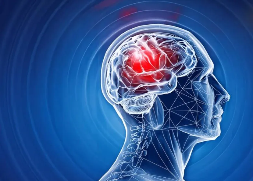 Brain Stroke: ब्रेन स्ट्रोक से बचना है तो ‘समय’ को बचाइए, हर मिनट में बच सकता है दिमाग, एम्स में विशेषज्ञों ने दिया संदेश Brain Stroke: ब्रेन स्ट्रोक से बचना है तो ‘समय’ को बचाइए, हर मिनट में बच सकता है दिमाग, एम्स में विशेषज्ञों ने दिया संदेश