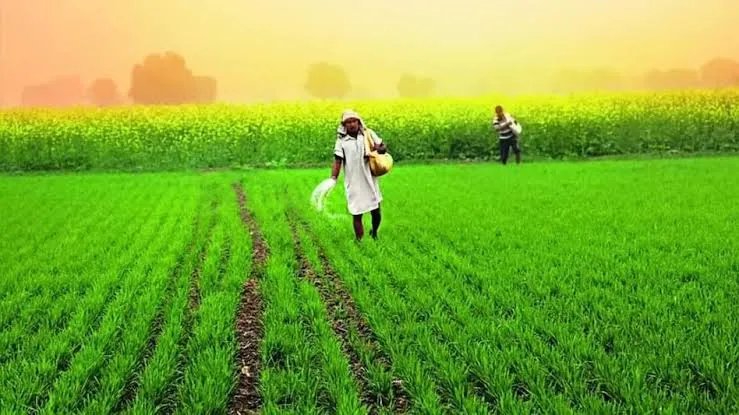 Fertilizer Use: किसानों को संतुलित उर्वरक और जैविक खेती के लिए प्रोत्साहित करें विक्रेता Fertilizer Use: किसानों को संतुलित उर्वरक और जैविक खेती के लिए प्रोत्साहित करें विक्रेता