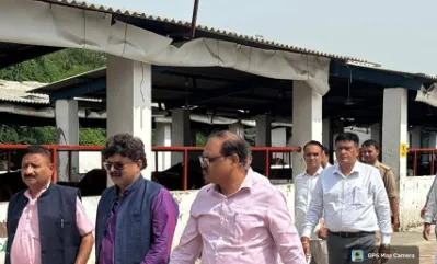 Noida Gaushala Inspection: गौ सेवा आयोग के उपाध्यक्ष और सदस्य ने किया गौशाला का निरीक्षण, साफ-सफाई समेत व्यवस्थाएं मिलीं संतोषजनक Noida Gaushala Inspection: गौ सेवा आयोग के उपाध्यक्ष और सदस्य ने किया गौशाला का निरीक्षण, साफ-सफाई समेत व्यवस्थाएं मिलीं संतोषजनक