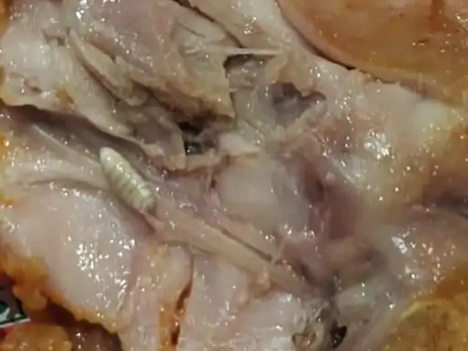 Food Safety: ग्रेटर नोएडा वेस्ट के KFC चिकन में कीड़ा मिलने का दावा, वीडियो वायरल होने के बाद खाद्य सुरक्षा विभाग ने शुरू की जांच Food Safety: ग्रेटर नोएडा वेस्ट के KFC चिकन में कीड़ा मिलने का दावा, वीडियो वायरल होने के बाद खाद्य सुरक्षा विभाग ने शुरू की जांच