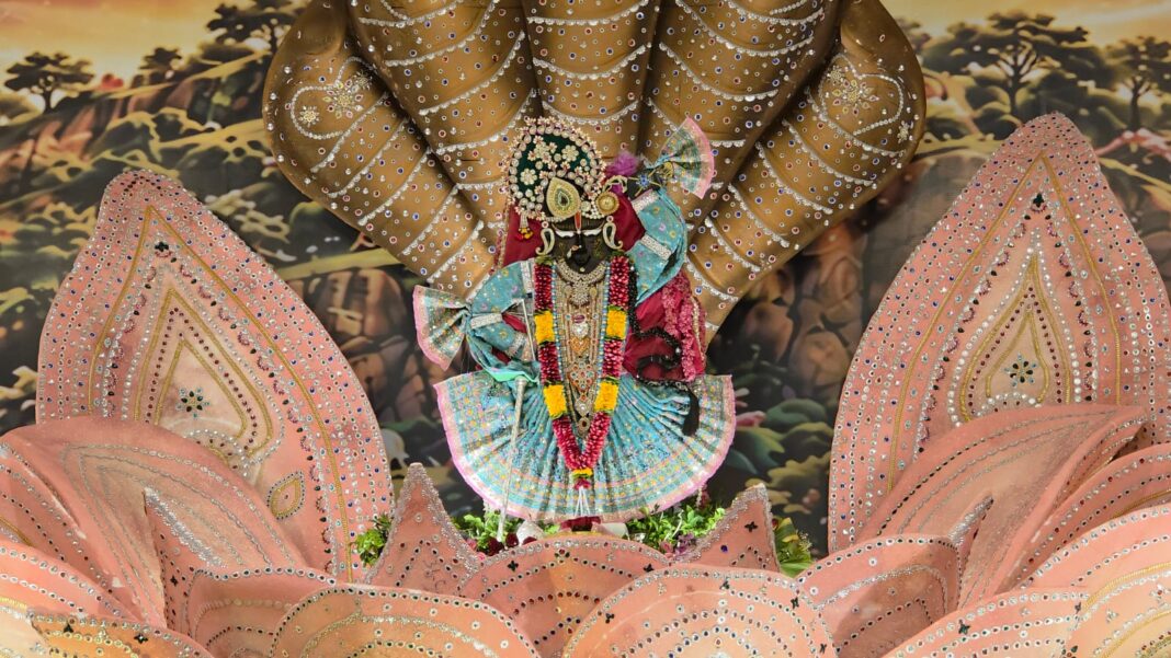 Mathura : गोवर्धन में छप्पन भोग महोत्सव पर सप्त रत्नों से सजे चांदी के कमल पर विराजे गिरिराज जी, 21 हजार किलो का लगा भोग Mathura : गोवर्धन में छप्पन भोग महोत्सव पर सप्त रत्नों से सजे चांदी के कमल पर विराजे गिरिराज जी, 21 हजार किलो का लगा भोग