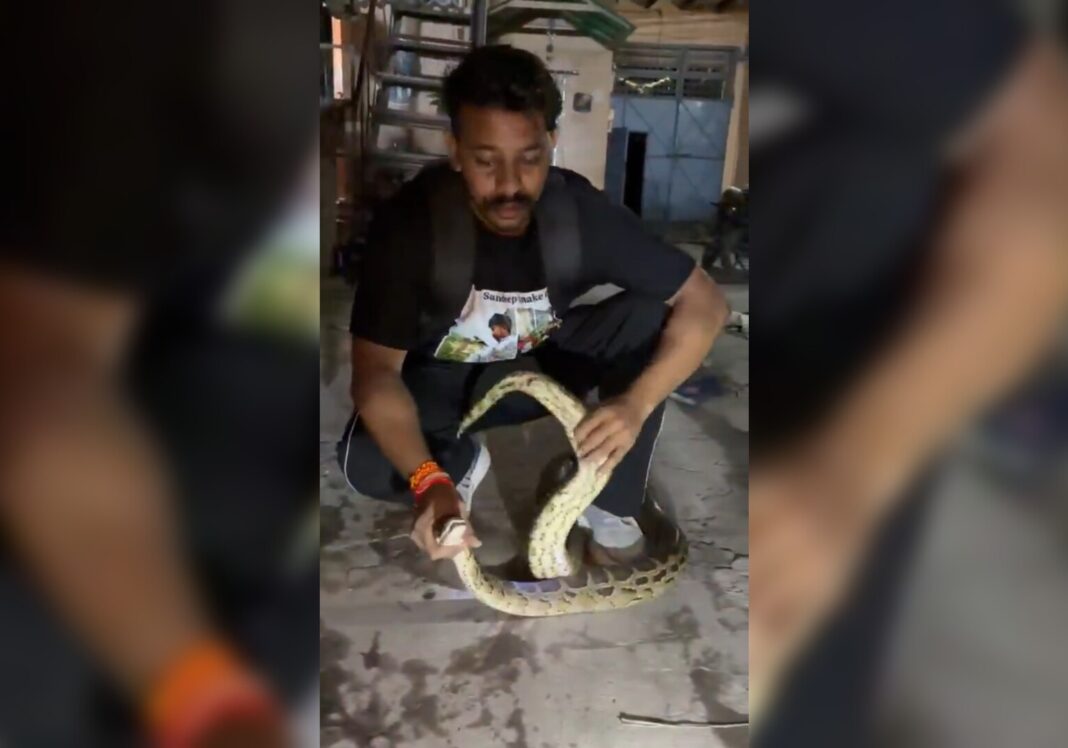 Hapur News : हापुड़ में घर के अंदर घुसा विशाल अजगर, परिवार में मची अफरा-तफरी Hapur News : हापुड़ में घर के अंदर घुसा विशाल अजगर, परिवार में मची अफरा-तफरी