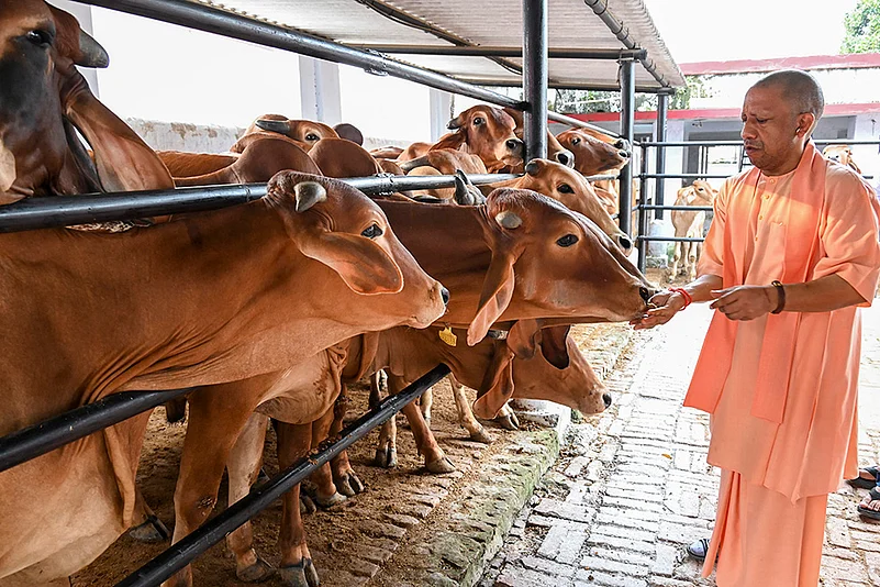 Lucknow : मुख्यमंत्री योगी आदित्यनाथ के नेतृत्व में गोवंश संरक्षण को मिल रहा बढ़ावा Lucknow : मुख्यमंत्री योगी आदित्यनाथ के नेतृत्व में गोवंश संरक्षण को मिल रहा बढ़ावा