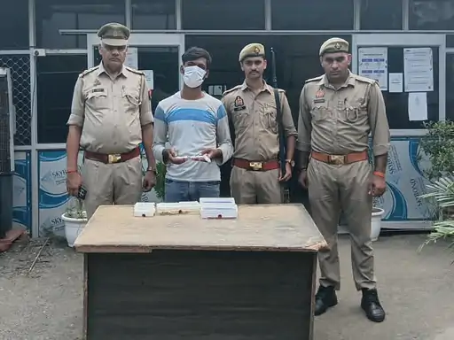Noida Theft: फ्लैट-मकानों की रेकी कर चोरी करने वाला शातिर गिरफ्तार, ज्वेलरी और नकदी बरामद Noida Theft: फ्लैट-मकानों की रेकी कर चोरी करने वाला शातिर गिरफ्तार, ज्वेलरी और नकदी बरामद