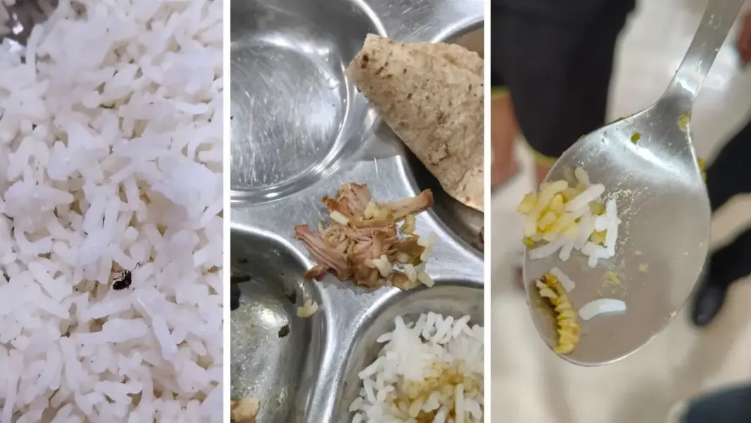 Hostel Mess Food: खाने में कीड़े मिलने की शिकायत पर सख्त हुआ IITTM प्रबंधन, अब छात्रों के साथ शिक्षक भी करेंगे भोजन Hostel Mess Food: खाने में कीड़े मिलने की शिकायत पर सख्त हुआ IITTM प्रबंधन, अब छात्रों के साथ शिक्षक भी करेंगे भोजन