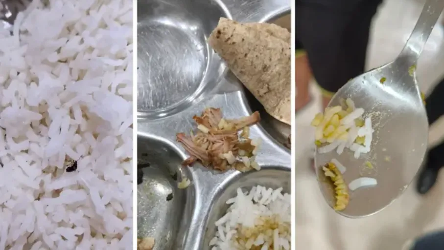 Hostel Mess Food: दाल में मटन के टुकड़े, चावल में कीड़े और सब्जी में इल्लियां मिलने का आरोप; मंत्रालय तक पहुंची शिकायत Hostel Mess Food: दाल में मटन के टुकड़े, चावल में कीड़े और सब्जी में इल्लियां मिलने का आरोप; मंत्रालय तक पहुंची शिकायत