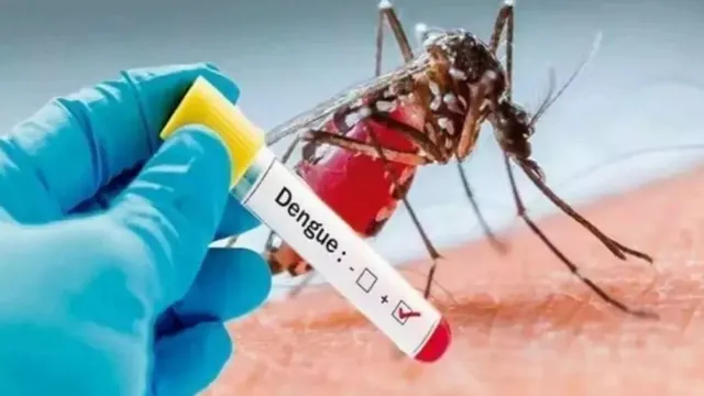 Noida Health Department: नोएडा में 5 दिन में डेंगू के 47 नए केस, कुल मरीजों की संख्या 201 Noida Health Department: नोएडा में 5 दिन में डेंगू के 47 नए केस, कुल मरीजों की संख्या 201