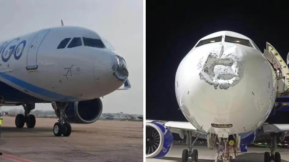 IndiGo Flight Lightning: 17 हजार फीट की ऊंचाई पर इंडिगो विमान पर गिरी आकाशीय बिजली, नोज क्षतिग्रस्त; 104 यात्री सुरक्षित, लखनऊ में कराई गई इमरजेंसी लैंडिंग IndiGo Flight Lightning, Patna Lucknow Flight, Lightning Strike Aircraft, Lucknow Airport, Flight Emergency Landing