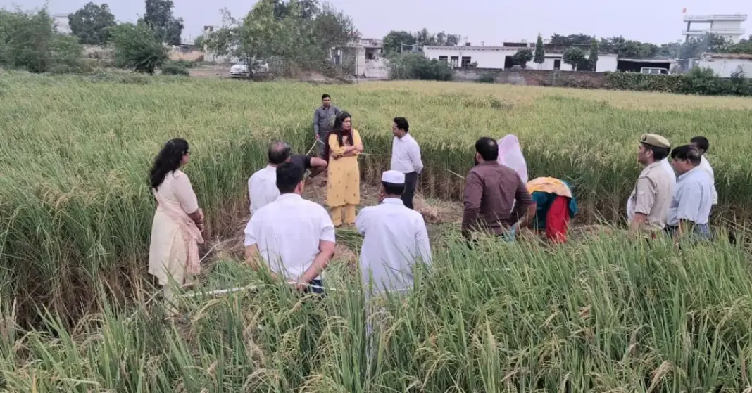 Paddy Crop Assessment: जिलाधिकारी मेधा रूपम ने गिरधरपुर में धान की क्रॉप कटिंग का किया निरीक्षण, 10.805 किलो उपज दर्ज Paddy Crop Assessment: जिलाधिकारी मेधा रूपम ने गिरधरपुर में धान की क्रॉप कटिंग का किया निरीक्षण, 10.805 किलो उपज दर्ज