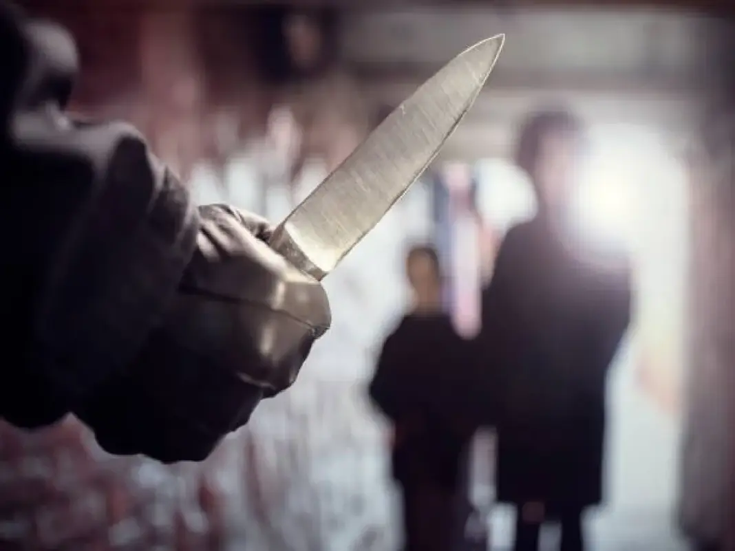 Delhi Murder Case, Karawal Nagar Crime, Harish Kumar Sharma, Pension Dispute Murder, Delhi Police Arrest