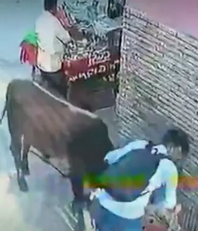 CCTV Assault: नोएडा में गाय को पॉलीथिन में रोटी खिलाने से रोकने पर जूस विक्रेता की पिटाई CCTV Assault: नोएडा में गाय को पॉलीथिन में रोटी खिलाने से रोकने पर जूस विक्रेता की पिटाई