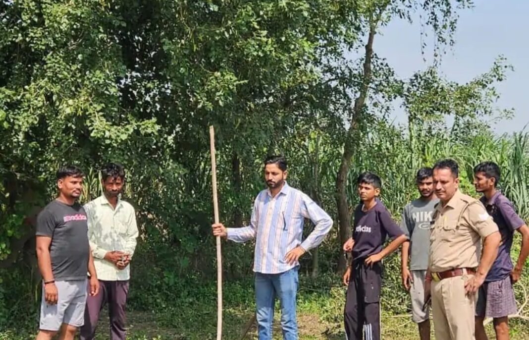 Hapur News : अक्खापुर जंगल में पेड़ पर लटका मिला नीलगाय के बच्चे का शव, तेंदुए की दहशत से ग्रामीणों में खौफ Hapur News : अक्खापुर जंगल में पेड़ पर लटका मिला नीलगाय के बच्चे का शव, तेंदुए की दहशत से ग्रामीणों में खौफ